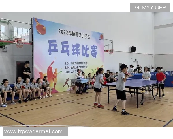 英超乒乓球盛宴南京乒乓球队逆袭之路的传奇故事与奋斗历程