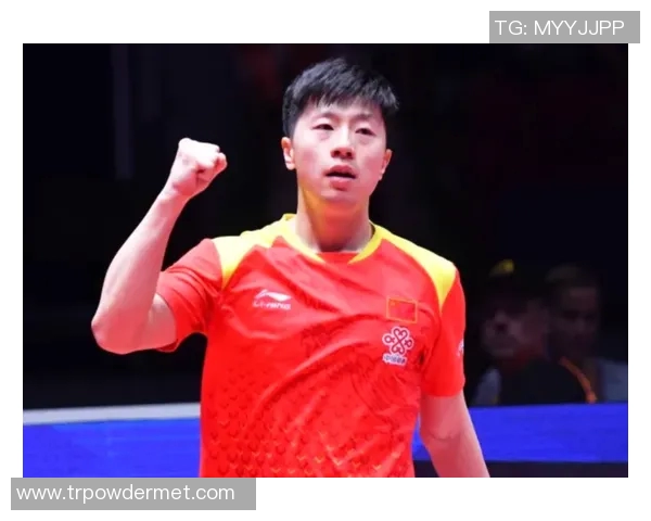 英超陈芳专访回顾乒乓球辉煌历程与未来展望 英超陈芳专访回顾乒乓球辉煌历程与未来展望