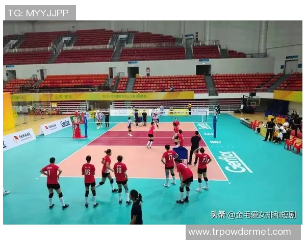 体育实时数据上海排球队在全国排球速度排行榜中荣获第二名展现强劲实力