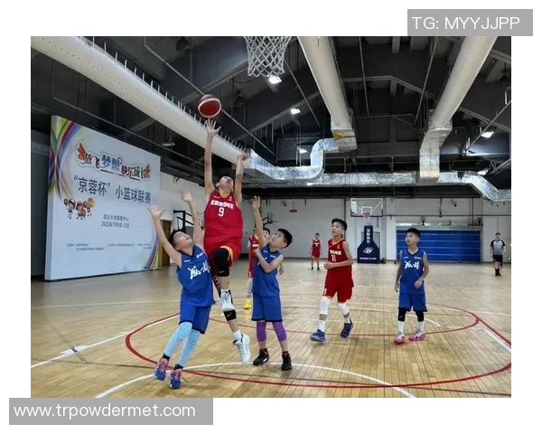 体育实时数据探寻成都篮球队球员个人能力的秘密与成长之路