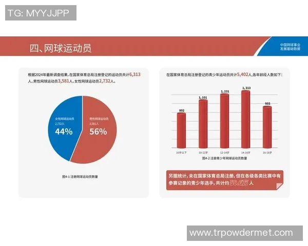 运动数据南京网球队状态分析与发展展望聚焦网球运动的未来与挑战 运动数据南京网球队状态分析与发展展望聚焦网球运动的未来与挑战